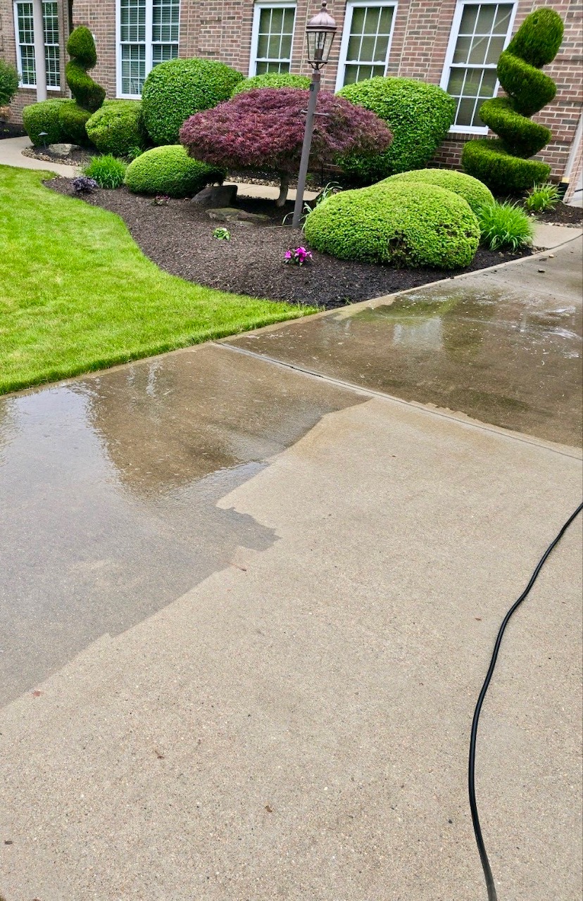 Professional power washing service